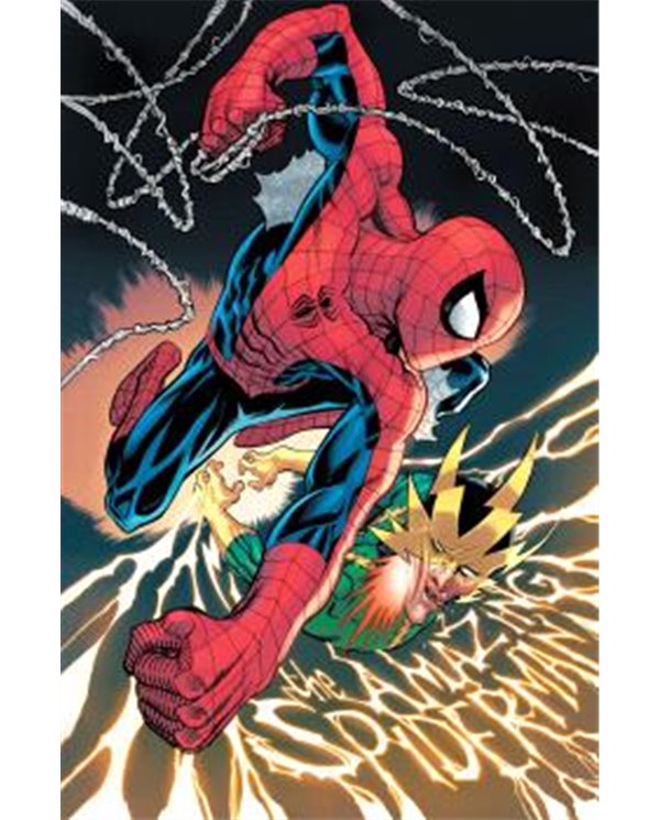 Portada de EL ASOMBROSO SPIDERMAN 13 de JOE KELLY, PANINI, ISBN 977301409400600000