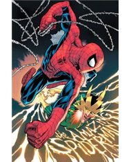 Portada de EL ASOMBROSO SPIDERMAN 13 de JOE KELLY, PANINI, ISBN 977301409400600000
