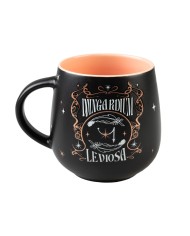 TAZA PREMIUM HARRY POTTER WINGARDIUM LEVIOSA 8435747826248