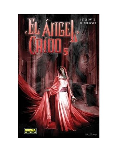 EL ANGEL CAIDO 5 (Peter David y David Lopez) 9778498471106 NORMA ED...