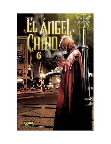 ANGEL CAIDO 06 9788498472561 NORMA EDITORIAL 13,00 €