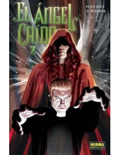 ANGEL CAIDO 07 9788498473285 NORMA EDITORIAL 9,00 €
