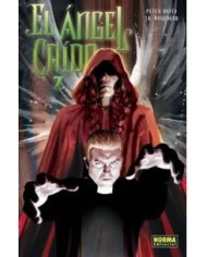 ANGEL CAIDO 07 9788498473285 NORMA EDITORIAL 9,00 €