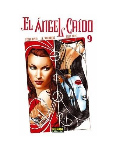 EL ANGEL CAIDO 9 (David, Tucci, Corronet y Woodward)    (ULTIMO NUM...