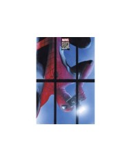 Poster Marvel 80 Years Spiderman 8435497230197  7,50 €