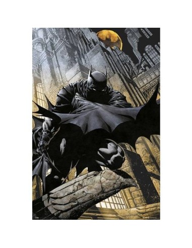 Poster DC comics Batman Gargoyle 8435497230203  7,50 € Poster DC comics Batman Gargoyle 8435497230203  7,50 €