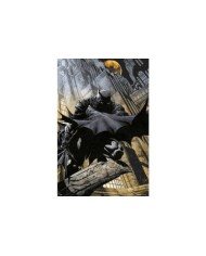 Poster DC comics Batman Gargoyle 8435497230203  7,50 €
