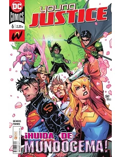 Young Justice núm. 06