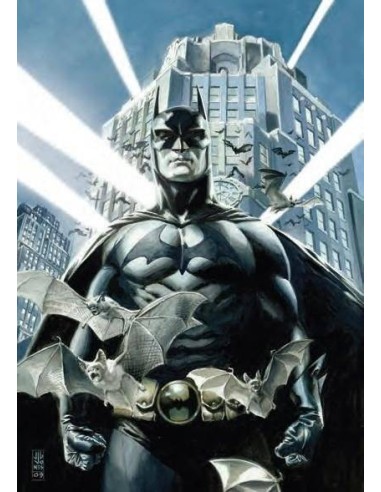 Batman vol. 9: Sombras alargadas (Batman Saga - Renacido parte 4) E...