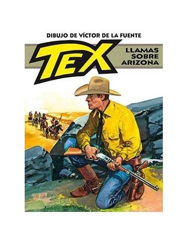 TEX. LLAMAS SOBRE ARIZONA 9788496992801  15,34 €
