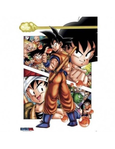Dragon Ball Goku Story 8435497204419  7,50 € Dragon Ball Goku Story 8435497204419  7,50 €