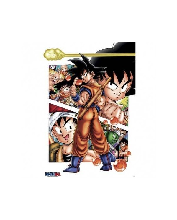 Dragon Ball Goku Story 8435497204419  7,50 €