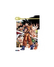 Dragon Ball Goku Story 8435497204419  7,50 €