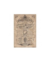 Poster Harry Potter Hogwarts School List 8435497204013  7,50 €