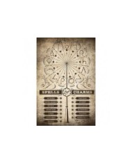 Poster Harry Potter Spells & Charms 8435497204037  7,50 €