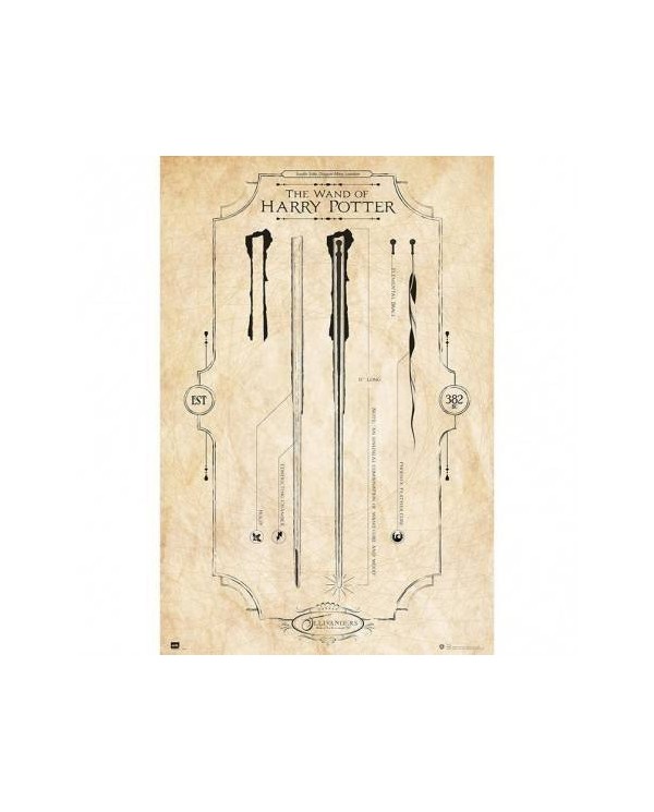Poster Harry Potter The Wand 8435497204044  7,50 €