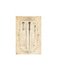 Poster Harry Potter The Wand 8435497204044  7,50 €