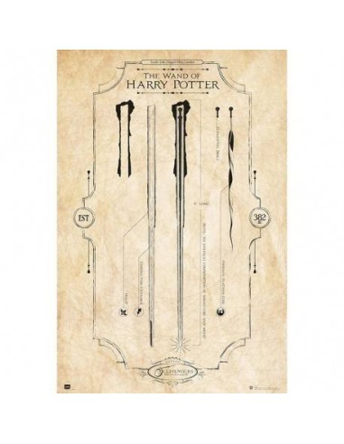 Poster Harry Potter The Wand 8435497204044  7,50 € Poster Harry Potter The Wand 8435497204044  7,50 €