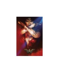 Poster Wonder Woman Bracelets 8435497201937  7,50 €