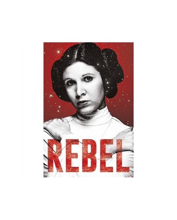 Star Wars Leia Rebel 8435497200893  7,50 €