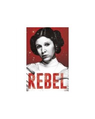 Star Wars Leia Rebel 8435497200893  7,50 € Star Wars Leia Rebel 8435497200893  7,50 €