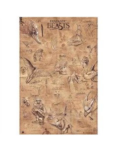 Maxi Poster Fantastic Beasts Animales 8436565227248  7,50 € Maxi Poster Fantastic Beasts Animales 8436565227248  7,50 €