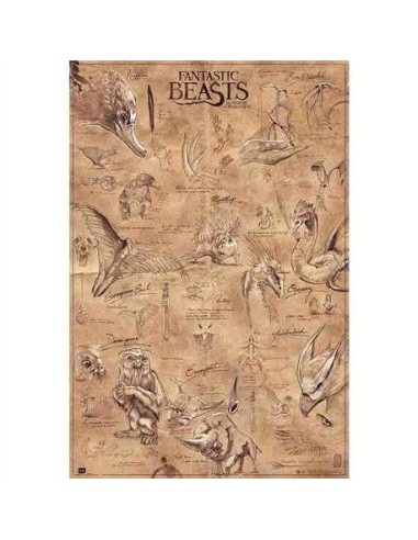 Maxi Poster Fantastic Beasts Animales 8436565227248  7,50 € Maxi Poster Fantastic Beasts Animales 8436565227248  7,50 €