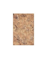 Maxi Poster Fantastic Beasts Animales 8436565227248  7,50 €