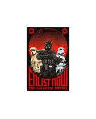 Maxi Poster Rogue One Enlist Now 8436565222489  7,50 €