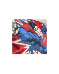 DC COMICS Mochila Superman 40 cm 8427934917341  20,97 €