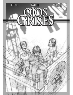 OJOS GRISES 9788490947883  13,46 €