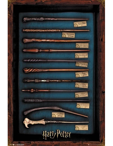 Poster Harry Poter Wands