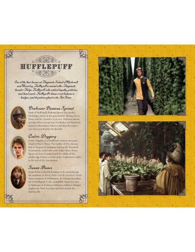 HArry Potter Cuaderno Hufflepuff