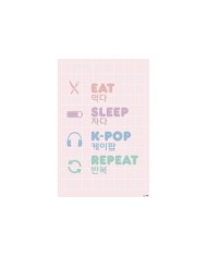 Maxi Poster K-Pop Icons 8435497218423  7,50 €