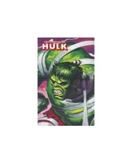 THE RAMPAGING HULK(MARVEL LIMITED EDITION) 9788415830436  36,49 €