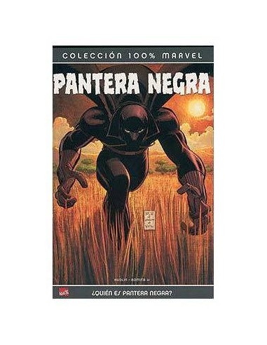 PANTERA NEGRA. ¿QUIEN ES PANTERA NEGRA? 9788496389830  10,10 €