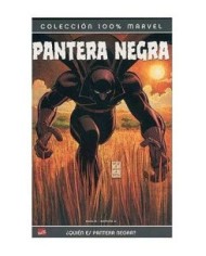PANTERA NEGRA. ¿QUIEN ES PANTERA NEGRA? 9788496389830  10,10 €