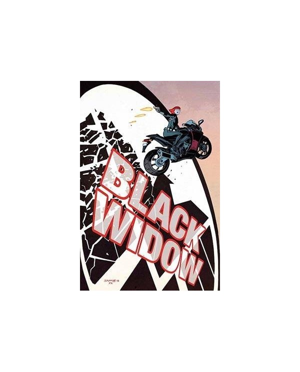 VIUDA NEGRA 9788490948682  9,74 €
