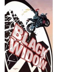 VIUDA NEGRA 9788490948682  9,74 €