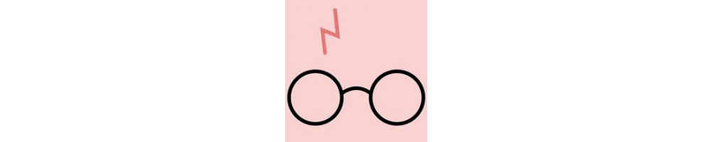 Regalos frikis y originales de Harry Potter 